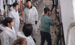 Рабочие профессии – гордость страны